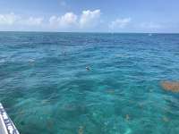 Great day of scuba diving in Key Largo with Rainbow Reef on pickles reef tropical serenity 2019 05 04 r8221 1