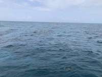 Great day of scuba diving in Key Largo with Rainbow Reef on snapper ledge tropical legend 2019 05 03 r8212 1