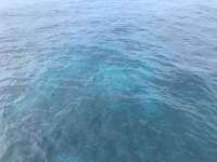 Great day of scuba diving in Key Largo with Rainbow Reef on snapper ledge tropical serenity 2019 05 07 r8232 1