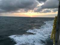Great day of scuba diving in Key Largo with Rainbow Reef on spanish anchor santana 2019 05 25 r8328 1