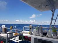 Great day of scuba diving in Key Largo with Rainbow Reef on spiegel grove tropical destiny 2019 05 18 r8282 1