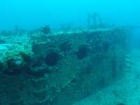 Great day of scuba diving in Key Largo with Rainbow Reef on spiegel grove tropical odyssey 2019 05 04 r8217 1