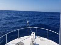 Great day of scuba diving in Key Largo with Rainbow Reef on uscgc duane tropical destiny 2019 05 05 r8222 1
