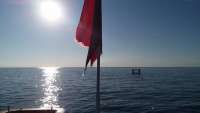 Great day of scuba diving in Key Largo with Rainbow Reef on benwood wreck santana 2019 11 26 r8944 1