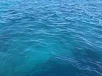 Great day of scuba diving in Key Largo with Rainbow Reef on benwood wreck tropical destiny 2019 11 25 r8941 1