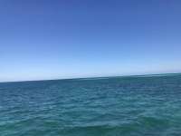 Great day of scuba diving in Key Largo with Rainbow Reef on benwood wreck tropical odyssey 2019 11 28 r8958 1
