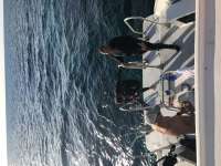 Great day of scuba diving in Key Largo with Rainbow Reef on christ statue tropical destiny 2019 11 30 r8974 1