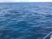 Great day of scuba diving in Key Largo with Rainbow Reef on christ statue tropical serenity 2019 11 06 r8870 1