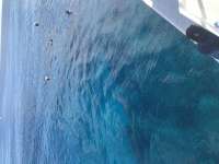Great day of scuba diving in Key Largo with Rainbow Reef on christmastree cave santana 2019 11 19 r8908 1