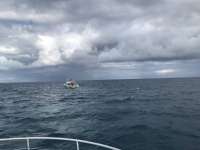 Great day of scuba diving in Key Largo with Rainbow Reef on christmastree cave tropical odyssey 2019 11 13 r8893 1