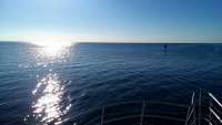 Great day of scuba diving in Key Largo with Rainbow Reef on city of washington tropical legend 2019 11 25 r8942 1