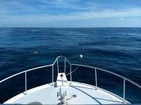 Great day of scuba diving in Key Largo with Rainbow Reef on conch ledge santana 2019 11 12 r8888 1