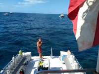 Great day of scuba diving in Key Largo with Rainbow Reef on drift molasses tropical voyager 2019 11 30 r8970 1