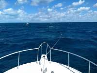 Great day of scuba diving in Key Largo with Rainbow Reef on eagle ray alley santana 2019 11 10 r8881 1
