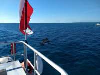 Great day of scuba diving in Key Largo with Rainbow Reef on eagle ray alley tropical odyssey 2019 11 26 r8947 1