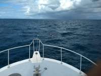 Great day of scuba diving in Key Largo with Rainbow Reef on french reef santana 2019 11 13 r8892 1