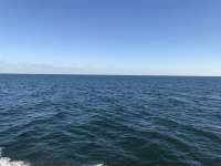 Great day of scuba diving in Key Largo with Rainbow Reef on minnow cave tropical legend 2019 11 20 r8913 1
