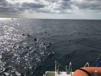 Great day of scuba diving in Key Largo with Rainbow Reef on permit ledges tropical serenity 2019 11 30 r8972 1