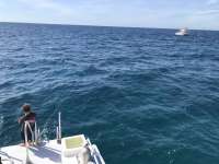 Great day of scuba diving in Key Largo with Rainbow Reef on sand island tropical legend 2019 11 13 r8891 1