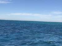 Great day of scuba diving in Key Largo with Rainbow Reef on sand island tropical legend 2019 11 20 r8912 1