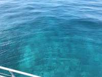 Great day of scuba diving in Key Largo with Rainbow Reef on snapper ledge tropical legend 2019 11 08 r8874 1