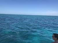 Great day of scuba diving in Key Largo with Rainbow Reef on snapper ledge tropical legend 2019 11 29 r8963 1