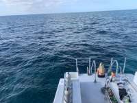 Great day of scuba diving in Key Largo with Rainbow Reef on snapper ledge tropical legend 2019 11 30 r8973 2