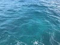 Great day of scuba diving in Key Largo with Rainbow Reef on snapper ledge tropical serenity 2019 11 12 r8885 1