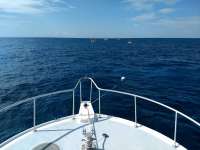 Great day of scuba diving in Key Largo with Rainbow Reef on spanish anchor santana 2019 11 24 r8936 1