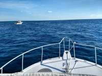 Great day of scuba diving in Key Largo with Rainbow Reef on spanish anchor tropical serenity 2019 11 27 r8950 1