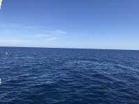 Great day of scuba diving in Key Largo with Rainbow Reef on spiegel grove santana 2019 11 26 r8948 1