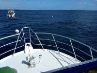 Great day of scuba diving in Key Largo with Rainbow Reef on spiegel grove tropical adventure 2019 11 30 r8971 1