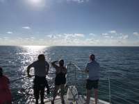 Great day of scuba diving in Key Largo with Rainbow Reef on the horseshoe tropical legend 2019 11 27 r8954 1