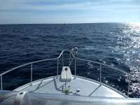 Great day of scuba diving in Key Largo with Rainbow Reef on uscgc duane santana 2019 11 12 r8886 1
