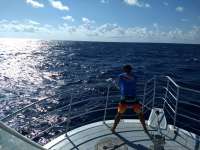 Great day of scuba diving in Key Largo with Rainbow Reef on uscgc duane tropical odyssey 2019 11 04 r8864 1