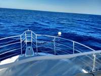 Great day of scuba diving in Key Largo with Rainbow Reef on uscgc duane tropical odyssey 2019 11 29 r8964 1