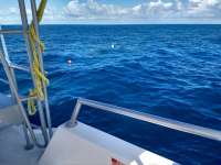 Great day of scuba diving in Key Largo with Rainbow Reef on benwood wreck tropical destiny 2019 10 14 r8831 1
