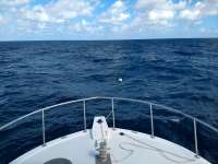 Great day of scuba diving in Key Largo with Rainbow Reef on christmastree cave tropical destiny 2019 10 14 r8832 1