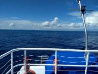 Great day of scuba diving in Key Largo with Rainbow Reef on drift french tropical adventure 2019 10 09 r8818 1