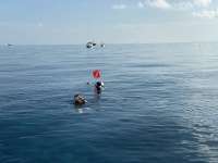 Great day of scuba diving in Key Largo with Rainbow Reef on permit ledges tropical adventure 2019 10 18 r8838 2