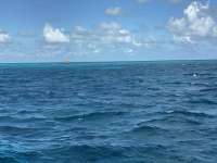Great day of scuba diving in Key Largo with Rainbow Reef on permit ledges tropical legend 2019 10 05 r8809 2
