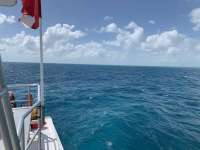 Great day of scuba diving in Key Largo with Rainbow Reef on snapper ledge tropical serenity 2019 10 01 r8798 1