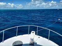 Great day of scuba diving in Key Largo with Rainbow Reef on spanish anchor tropical destiny 2019 10 11 r8825 1