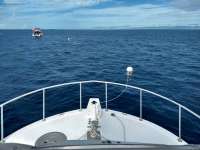 Great day of scuba diving in Key Largo with Rainbow Reef on spiegel grove tropical destiny 2019 10 10 r8822 2