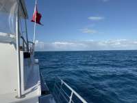 Great day of scuba diving in Key Largo with Rainbow Reef on benwood wreck tropical legend 2019 09 29 r8792 2