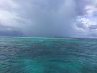 Great day of scuba diving in Key Largo with Rainbow Reef on christ statue tropical destiny 2019 09 01 r8748 1