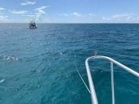 Great day of scuba diving in Key Largo with Rainbow Reef on crf nursery tropical serenity 2019 09 16 r8776 1