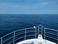 Great day of scuba diving in Key Largo with Rainbow Reef on french reef tropical odyssey 2019 09 15 r8772 1