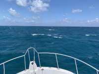 Great day of scuba diving in Key Largo with Rainbow Reef on french reef tropical serenity 2019 09 30 r8795 1