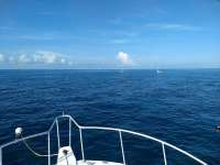 Great day of scuba diving in Key Largo with Rainbow Reef on hole in the wall tropical serenity 2019 09 08 r8757 1